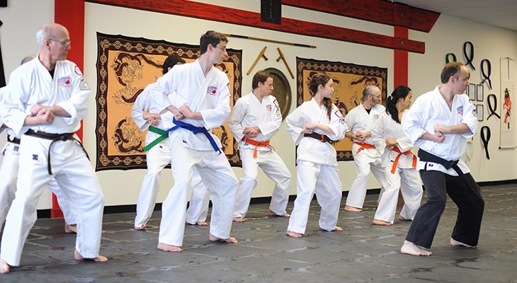 Budo Martial Arts Karate-do