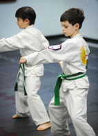 Kids Karatedo Punch